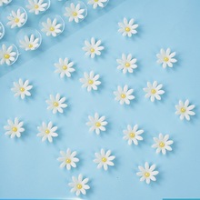 ���ɿ�֬�ɿ���С�������b����c�b������w�����ʳ�ǻ��r�ղ�Ƭ