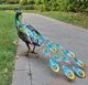 Foreign trade exports to Europe and the United States outdoor lawn paint hand-painted iron products solar lights animal ornaments low Peacock decoration