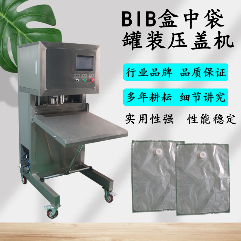 BIB无菌袋灌装机 液体盒中袋罐装拧盖机 BIB袋子称重灌装机
