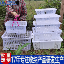 舒家寶水果筐5-30斤草莓荔枝龍眼筐廠家直銷四川丑干采摘水果膠筐