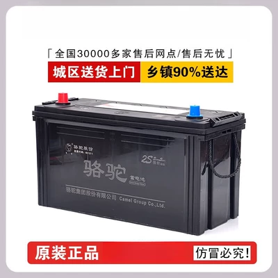 Camel Battery 12V100Ah Car battery/battery