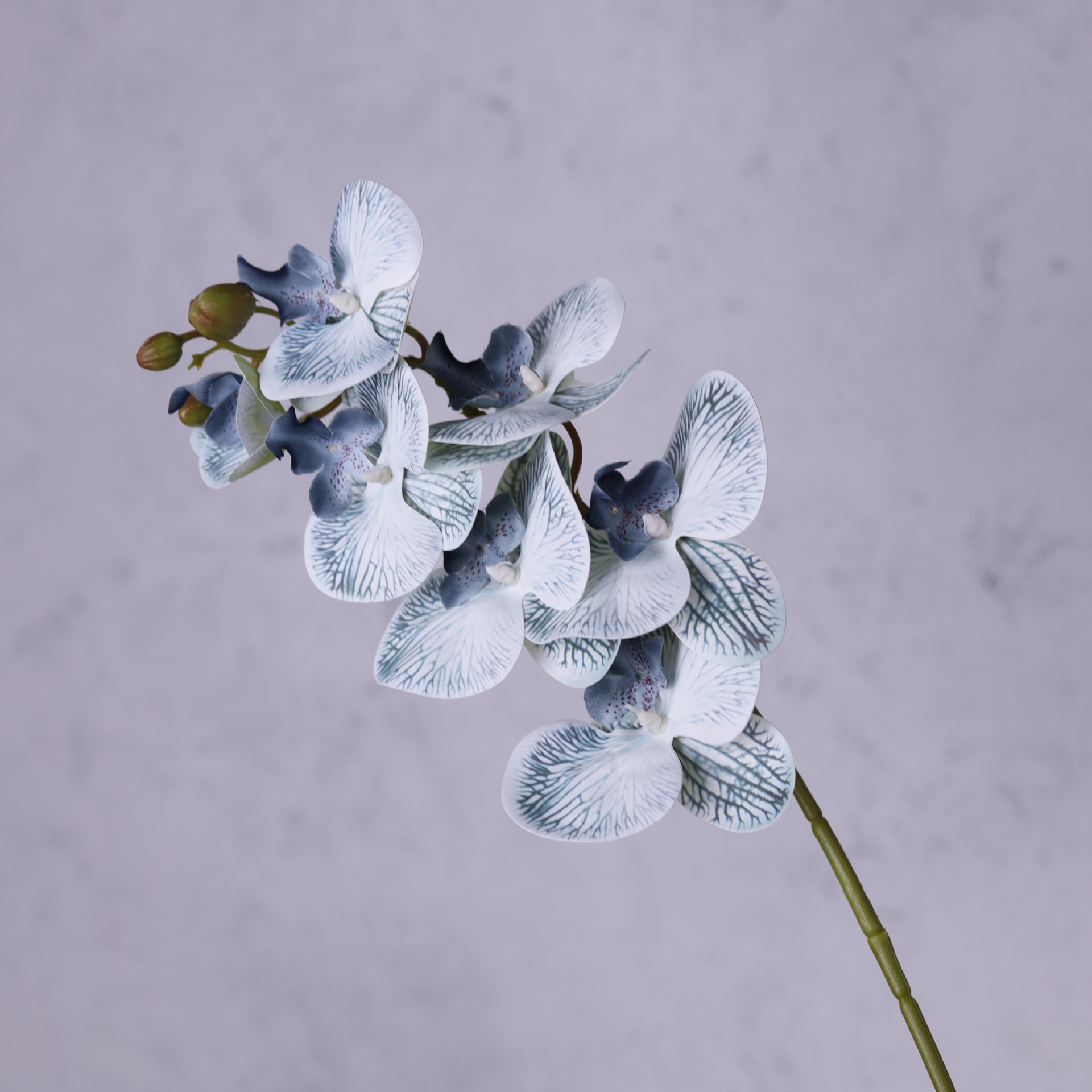 Impresión 3D de 7 cabezas de orquídeas mariposa flor de decoración de flores de alto nivel flor de nicho decoración floral decoración de sala de estar