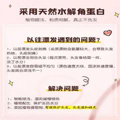 First Product Ammonia-Free Bleaching Powder Hair Dyeing Wholesale Non-Damaging Color Developer Non-Irritating Bleaching Cream LPP Protein Powder