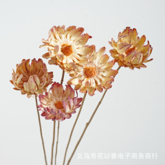 【鳳凰の花の花束】天然の乾いた花が豪華で、ホテルの装飾品を飾っています。