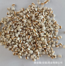中草药 薏苡仁 小薏米 安国厂家批发带合格证质检发票，量大优惠
