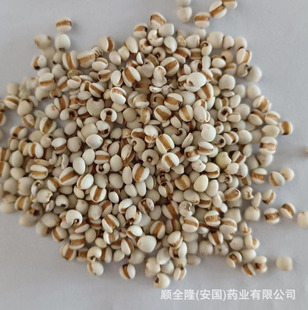 �в�ș ޲���� С޲�� �����S�����l���ϸ��C�|�z�lƱ�����󃞻�
