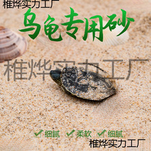 孵化乌龟草龟天然底砂产蛋鱼缸装饰造景砂子冬眠下蛋养殖沙河沙