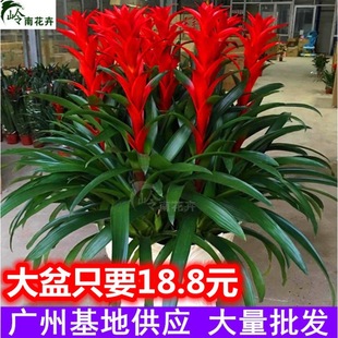 ���\���^����С�t���k�����_�t���ܾGֲ����ͺ��B�P������ȩ�͏d