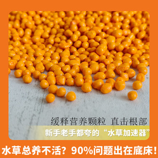 Aquarium Fertilizer Slow-Release Tropical Fish Tank Aquatic Plant Root Fertilizer Base Fertilizer Granular Fertilizer Long-Lasting Aquarium Aquatic Plant Base Fertilizer