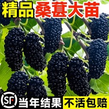 ���L��ɣ�ؘ��玧������̨����ɣ�ؼ޽ӹ�������ϱ����ļ���ˮ��