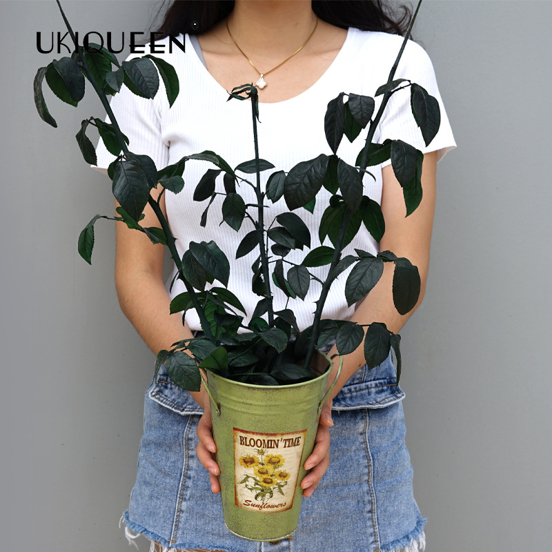 Fabricante mayorista de materiales de bricolaje para flores eternas, tallos y hojas de rosas eternas de Yunnan, adornos con cubierta de cristal del Principito.