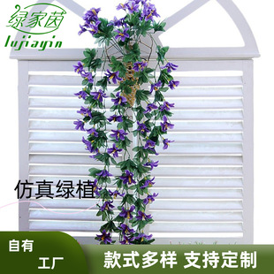 ���滨�ٗl�ٻ��ڒ���@��픻�c�b���Ӱ�ǰٺ����_�m�ڒ컨��