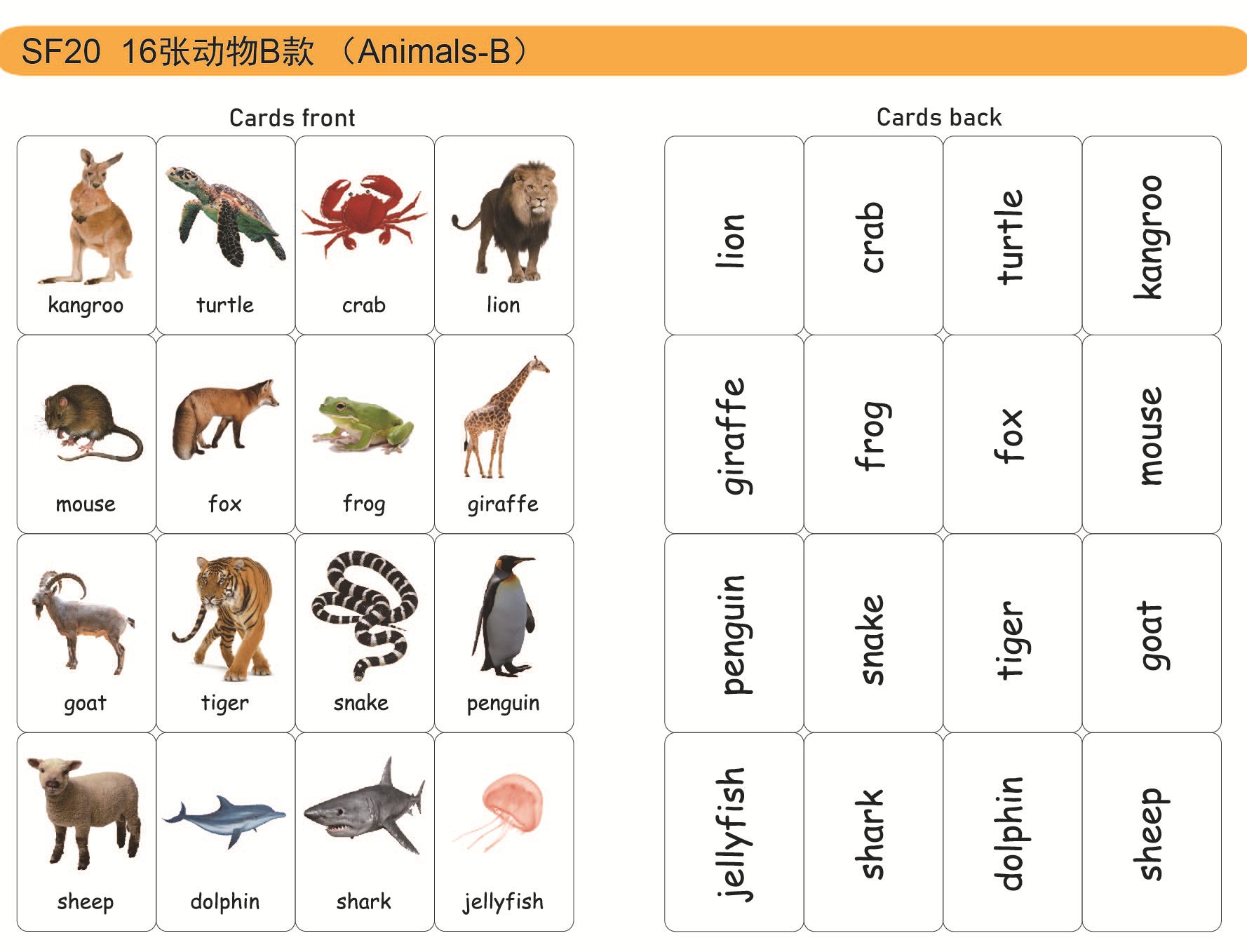 塑封防水颜色动物字母拼读英语单词学习闪卡片color flash cards-阿里巴巴