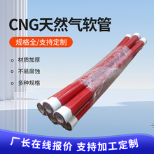 CNGж����ܛ��ʯ��ȼ���ú�����܇�Ӛ�C�z���������Ԙ�֬��