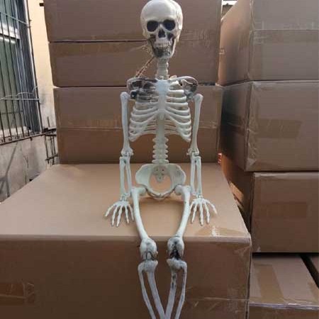 Halloween esqueleto de plástico esqueleto de plástico tamaño de niños esqueleto humano decoración de casa embrujada colgar props fantasmas al por mayor