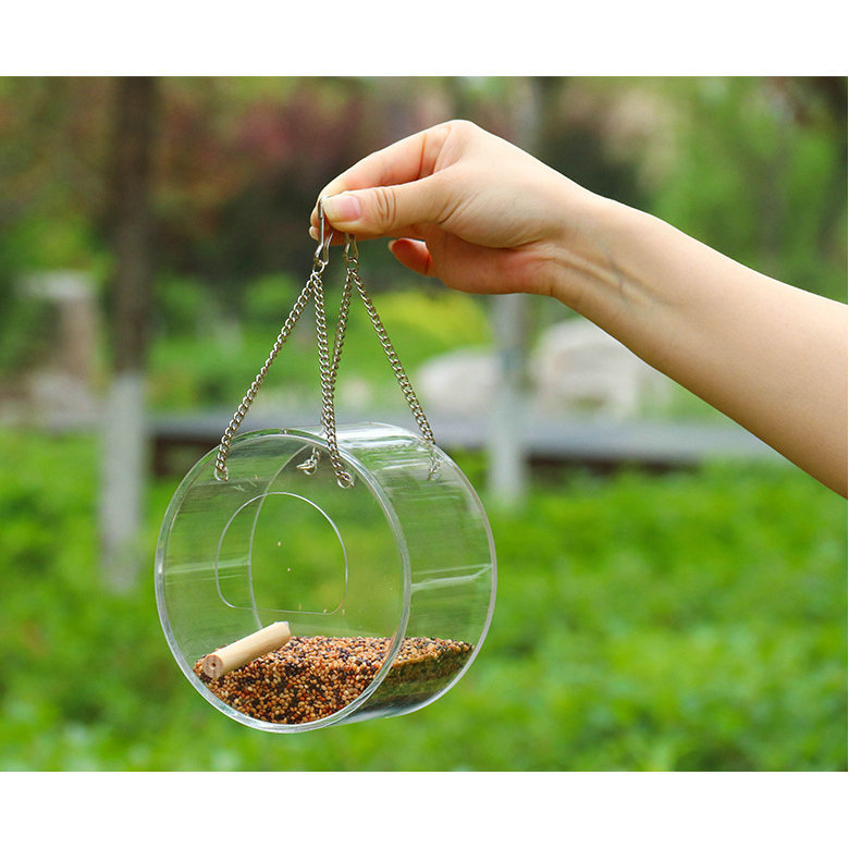 20215197729_557864364