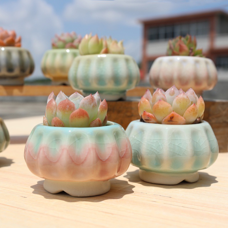Pot à succulentes citrouille créatif avec glaçure arc en ciel_voghion.com