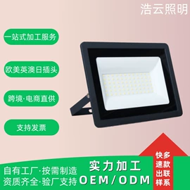 投光灯;泛光灯;路灯