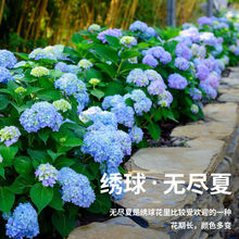 ̨԰ɻ׃ɫ׻ϘoM18꾫ƷͥԺ