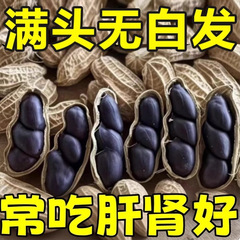 云南富硒带壳黑皮黑花生官方旗舰店健带壳生花生脾胃孕妇健康零食