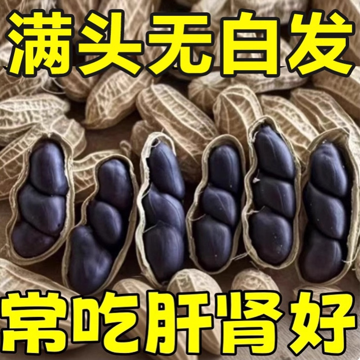 云南富硒带壳黑皮黑花生官方旗舰店健带壳生花生脾胃孕妇健康零食|undefined