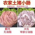 农家新鲜猪小肠圈圈肠农村土笨猪现杀生苦肠2斤猪肠子灌血肠粉肠