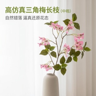 �¿���滨����÷�����쾰�Ƶ�Ҿ��b�c�ٻ�����侰�^�b�