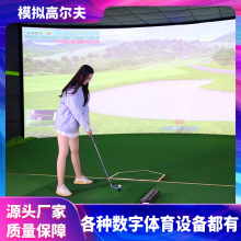 室内模拟器高尔夫设备办公室成人练习挥杆休闲运动推杆自动回球