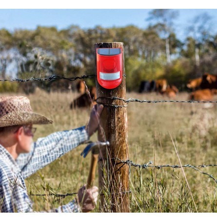 Reprehenderit qui in ea