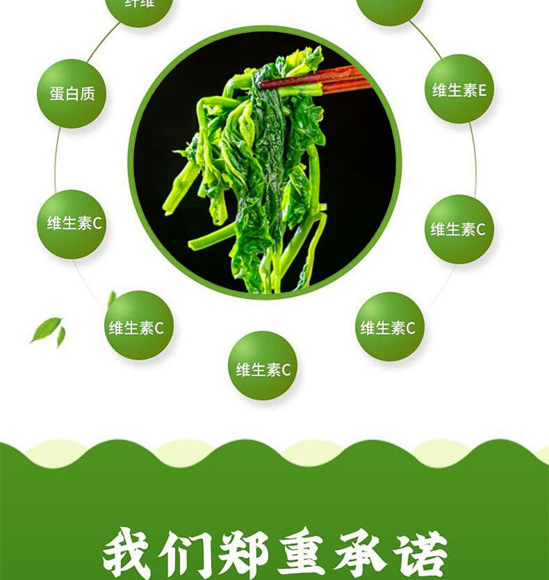 桑叶菜详情页_05.jpg