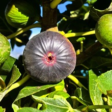 �o���������l �����ןo������ ���R˹�o�������箔��Nֲ����Y��