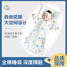 婴儿睡袋秋冬款恒温新生儿童宝宝一体式防踢被神器四季通用冬季