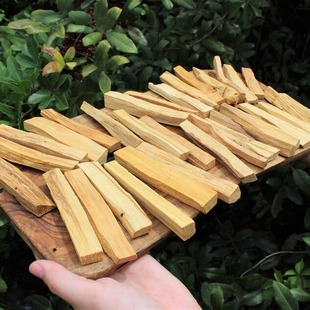 }ľȻ޹ԭľľlPaloSantoβڤl羳