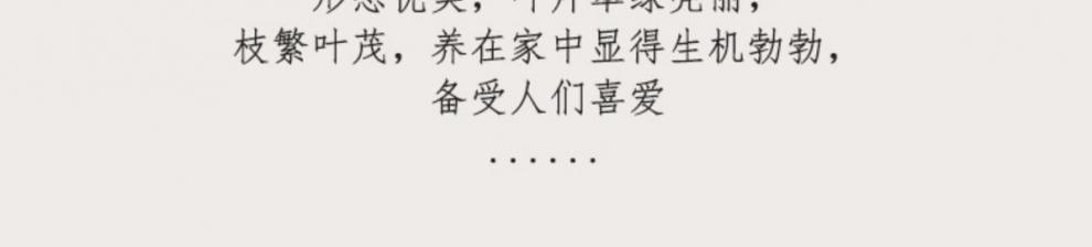 17c3daaa-484f-460f-848d-4f3b56e5f567.jpe