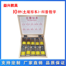 10�N�����˱����꼉�ƌW���ɰ�|����|�����S�Ϻڼt��ɫ�����ӱ�