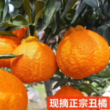�Fժ���ٲ�֪����ٽ����rˮ���������r������Ұҳ��ˮ��