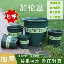 �Ӂ���ظ��S��ֱ�N�Ӻ����ϻ���Ӂ���Gֲ��������þG�}����