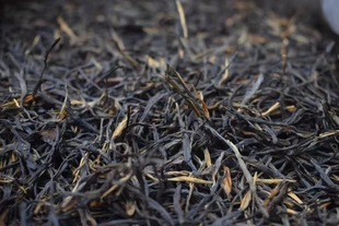 ��ᘵ�t ����P�c��tɢ�� ����58�t��