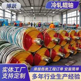 冷轧辊厂家加工 大型喷涂碳化钨工业机械 镀锌电镀工艺