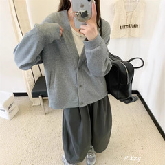 009慵懒风圆领卫衣女秋季新款薄款宽松韩版oversize女式上衣bf外