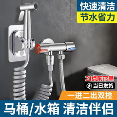 马桶伴侣喷枪冲洗器一进二出水龙头带水枪高压卫生间家用双控角阀