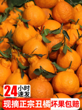 ��˹ֳ��ٰҰҸ��������r10�����ٽ��Ӯ����r��ˮ���������θ���