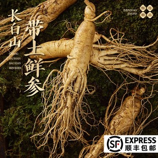 ��S���]�L��ɽ�r�˅�����24����؛�|�������r�����l�ݾ��˅�500g