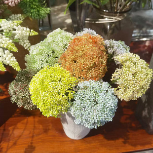 �F؛��֧���Ͻ�������滨�����ָ�ܛ�z�˻����廨��ˇ�[�ٹ���