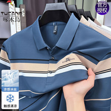 ��ľ�B������ʿ�l�y����T��2026�ļ����I����POLO���ְ����b����