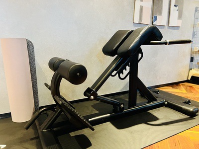 Commercial Roman Chair Mandarin Body Ware Roman Stool Fitness Equipment Furniture Limp Largers and Big Back Training 4