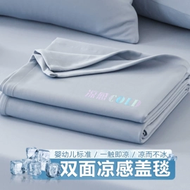 其他毛毯;靠垫/抱枕;法兰绒毯