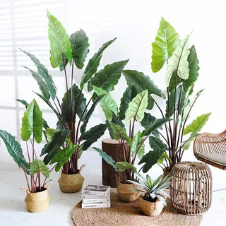 彩虹芋仿真植物盆栽室内客厅仿生绿植大型假树盆景装饰造景观摆件