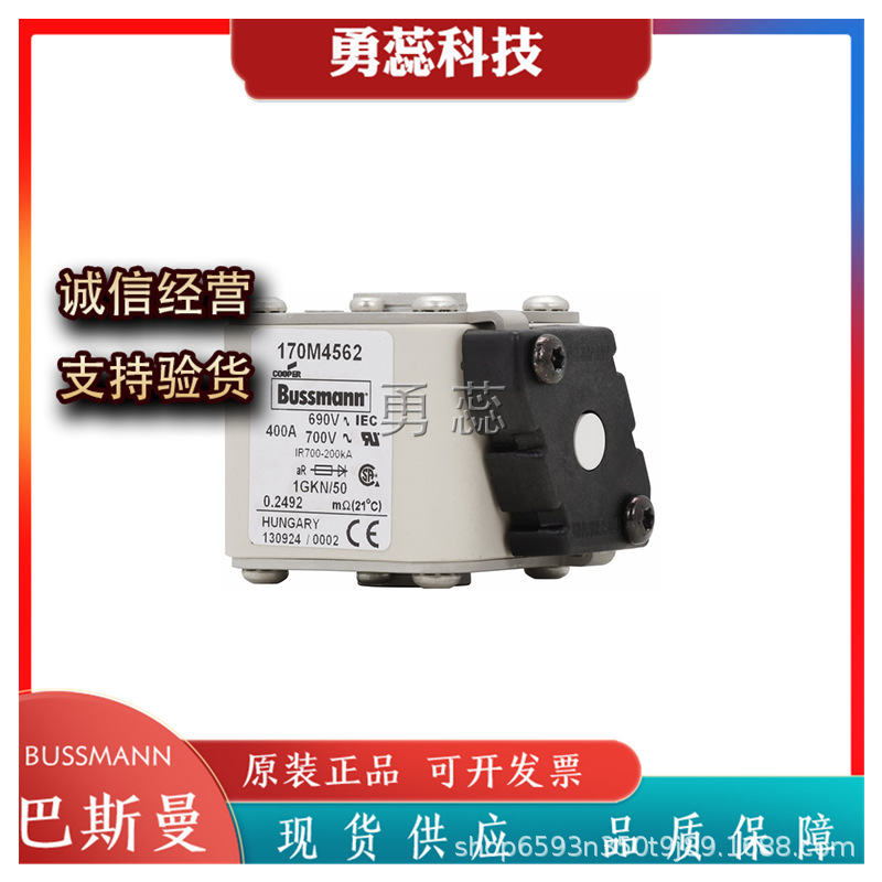 保险丝熔断器     170M3747    170M4738    170M4739