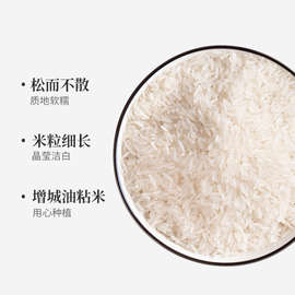 增城清香油粘米5KG长粒香大米籼米10斤猫牙米新米